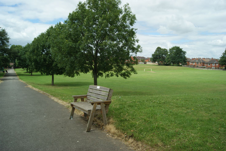 A bench next to a row of trees.